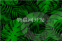 智能硬件APP開發(fā)